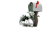 E-Mail:  foxygin@acmenet.net